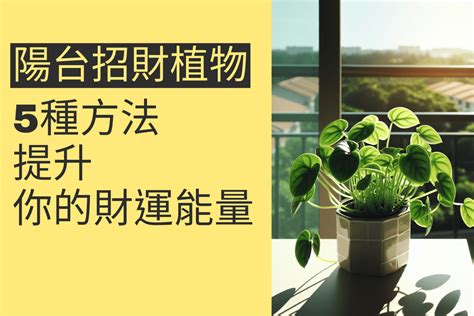 陽台種花招財|陽台植物招財妙招！4種植物讓你財源滾滾來 